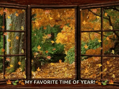 Falling Leaves Changing Leaves GIF. This 400 x 300 animated GIF is part of our fall collection. Related themes include autumn. Created by Leahmom8. View the…