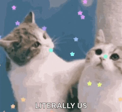 Falling Stars Cutecore GIF