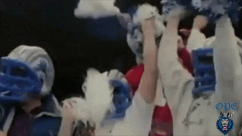 Fans Cheer GIF