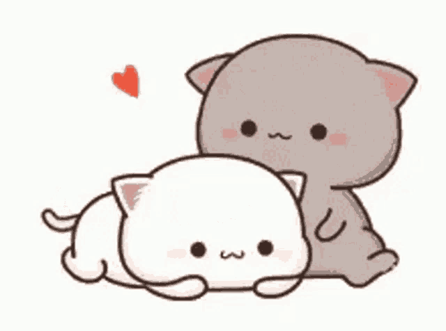 Fari Y Yo GIF