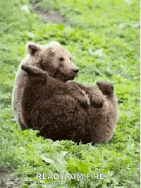 Fart Farting GIF