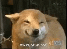 Farted Blushing GIF
