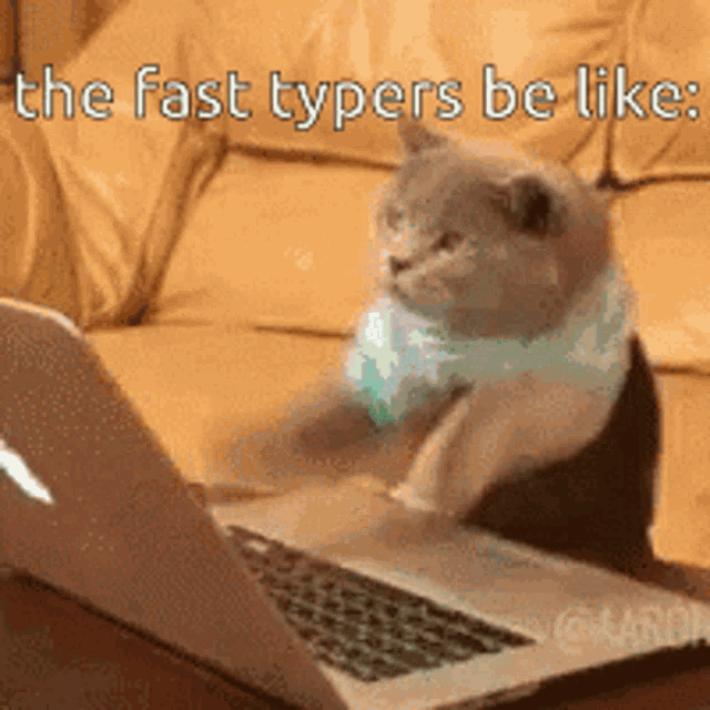 Fast Typer Spamers GIF
