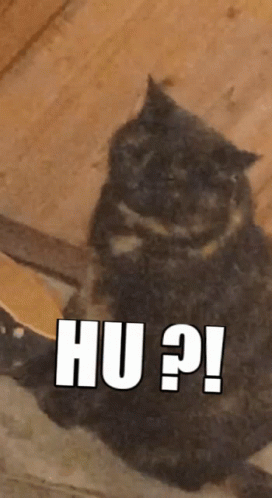 Fat Cat Redwaze GIF