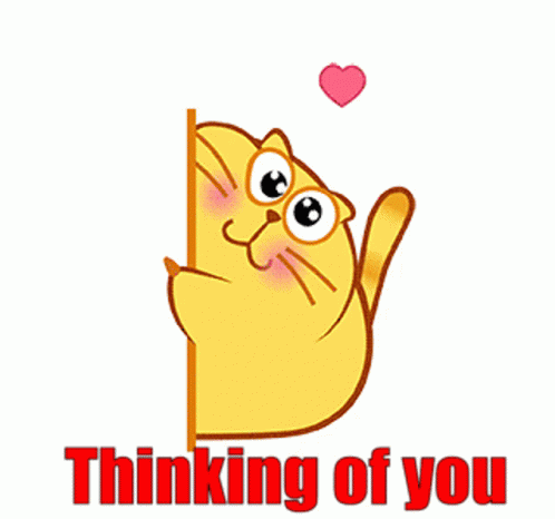 Fatcatzcouple Yellow Cat GIF. This 498 x 466 animated GIF is part of our ich denk an dich collection. Related themes include love you, thinking, thinking of…