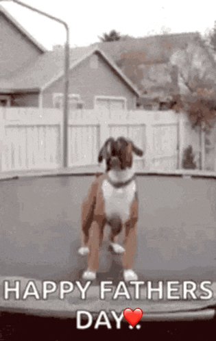Fathers Day GIF