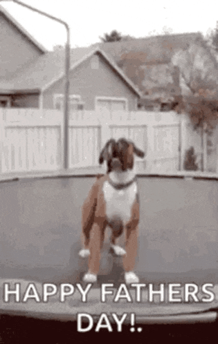 Fathers Day GIF