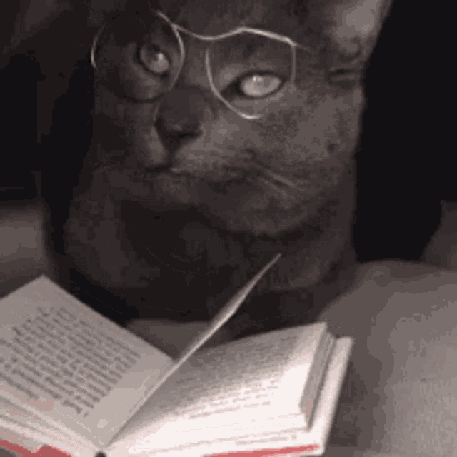Favorite GIF