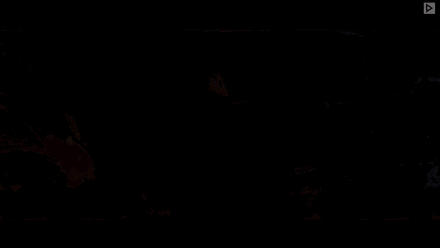 Fbi Fbi Open Up GIF