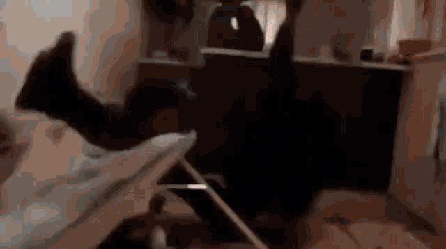 Fbi Un Fbi GIF