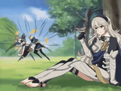 Fcorrin Takumi GIF