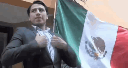 Fedelobo Bandera De México GIF