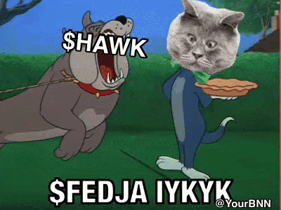 Fedja Cat GIF