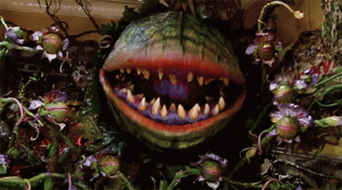 Feed Little GIF