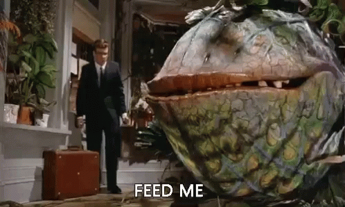 Feed Me Seymour Little Shopof Horrors GIF