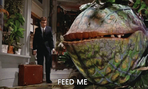 Feedmeseymour Little Shopof Horrors GIF