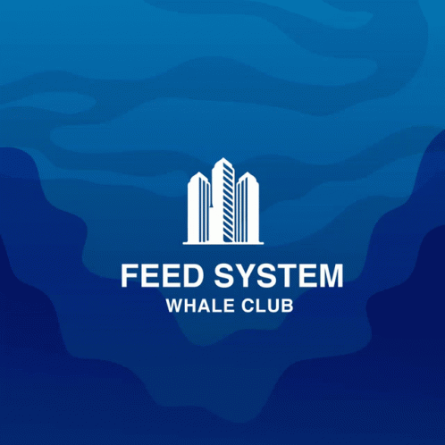 Feedtk Whaleclub GIF