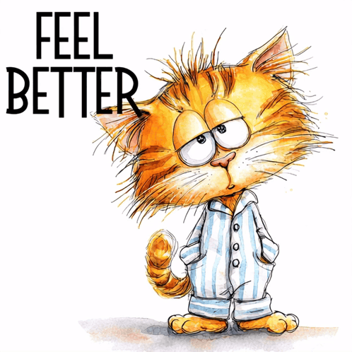 Feel Better Get Well GIF