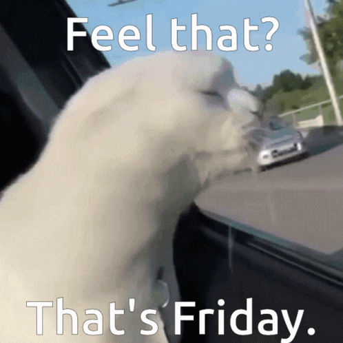 Feel That Thats Friday GIF