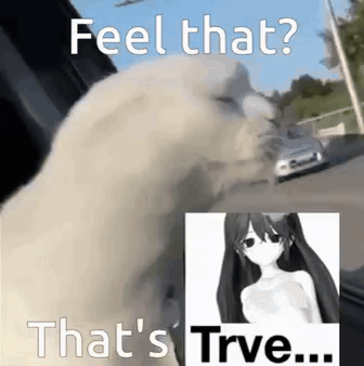 Feel That That'S Trve Jvne GIF