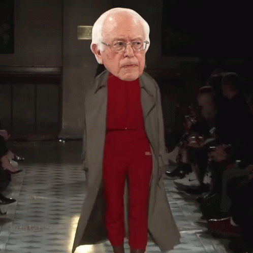 Feel The Bern Bernie Sanders GIF