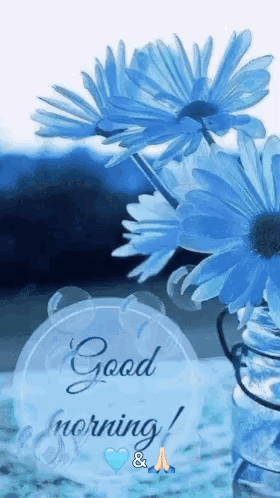 Feeling Good Happy GIF. This 280 x 498 animated GIF is part of our flower collection. Related themes include good morning, good morning love, good morning…