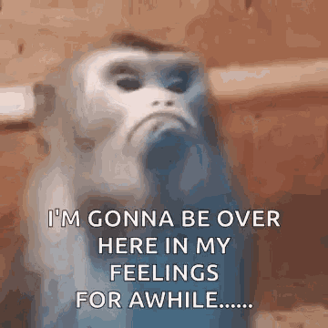 Feelings Mad GIF