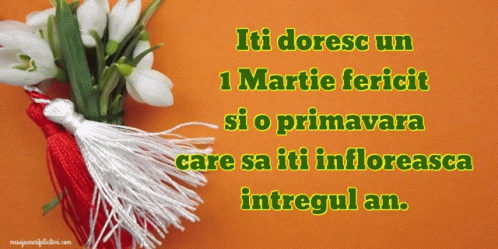 Felicitare Gif GIF. This 498 x 249 animated GIF is part of our martisor collection. Related themes include gif. Created by mesajeurarifelicitari. View the…