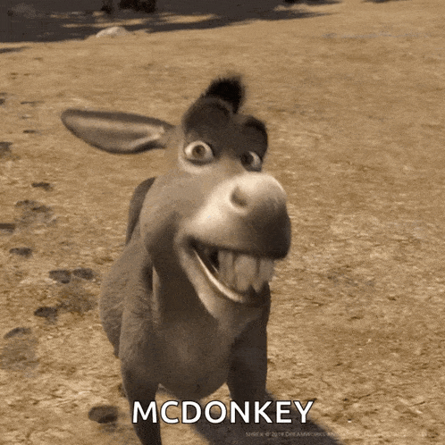 Feliz Alegre GIF