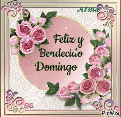 Feliz Bendecido Domingo GIF