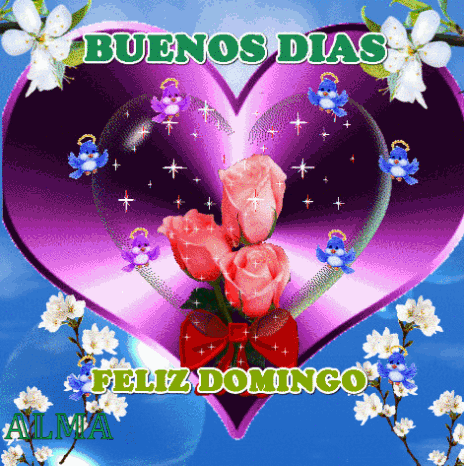 Feliz Domingo GIF