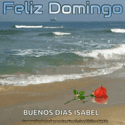 Feliz Domingo Feliz Dia GIF