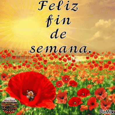 Feliz Fin De Semana GIF