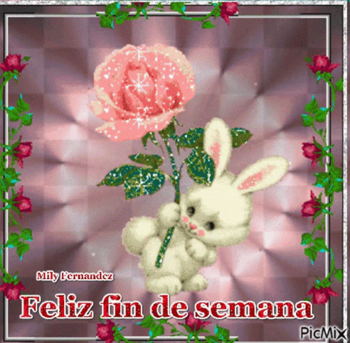 Feliz Fin De Semana Rabbit GIF
