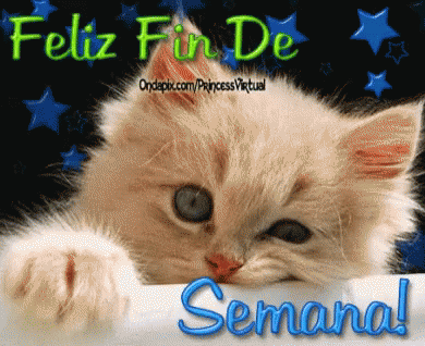 Feliz Fin De Semana GIF