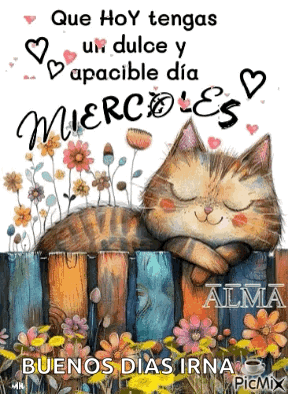 Feliz Miércoles GIF