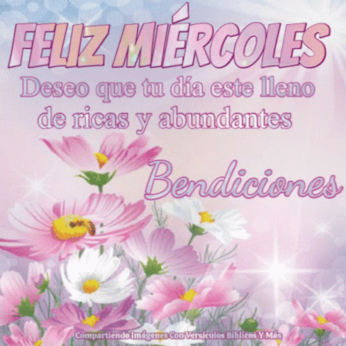 Feliz Miercoles Bendiciones GIF