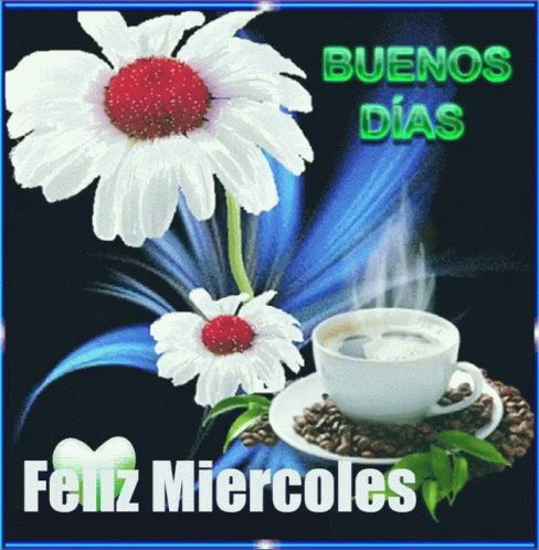 Feliz Miercoles Buenos Dias GIF