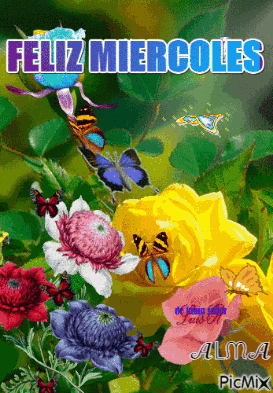 Feliz Miercoles GIF