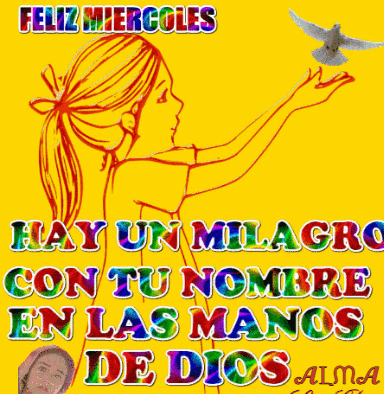Feliz Miercoles GIF