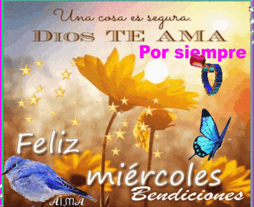 Feliz Miercoles GIF