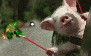 Feliz Muy Feliz Alegre Alegria Felicidad GIF