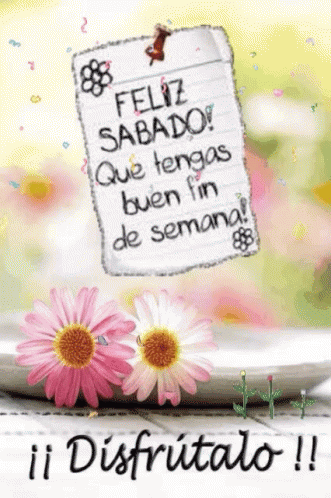 Feliz Sabado GIF
