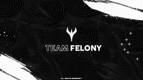 Felony Codm GIF