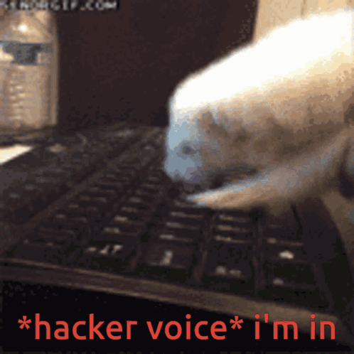 Ferat Dooby3d GIF. This 498 x 498 animated GIF is part of our im in hacker collection. Related themes include typing. Created by zazzymazzy. View the…
