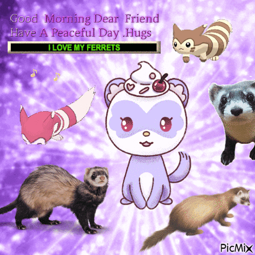 Ferret GIF