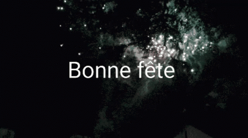 Festa GIF