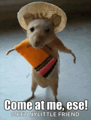 Fight Me Come At Bro GIF