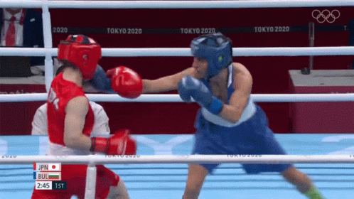 Fighting Tsukimi Namiki GIF