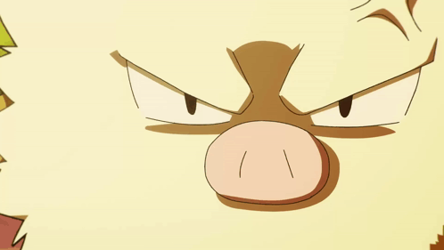 Fighting Type Pokemon Pokémon GIF